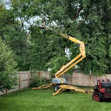 Reliable Commack, NY Tree Removal Solutions